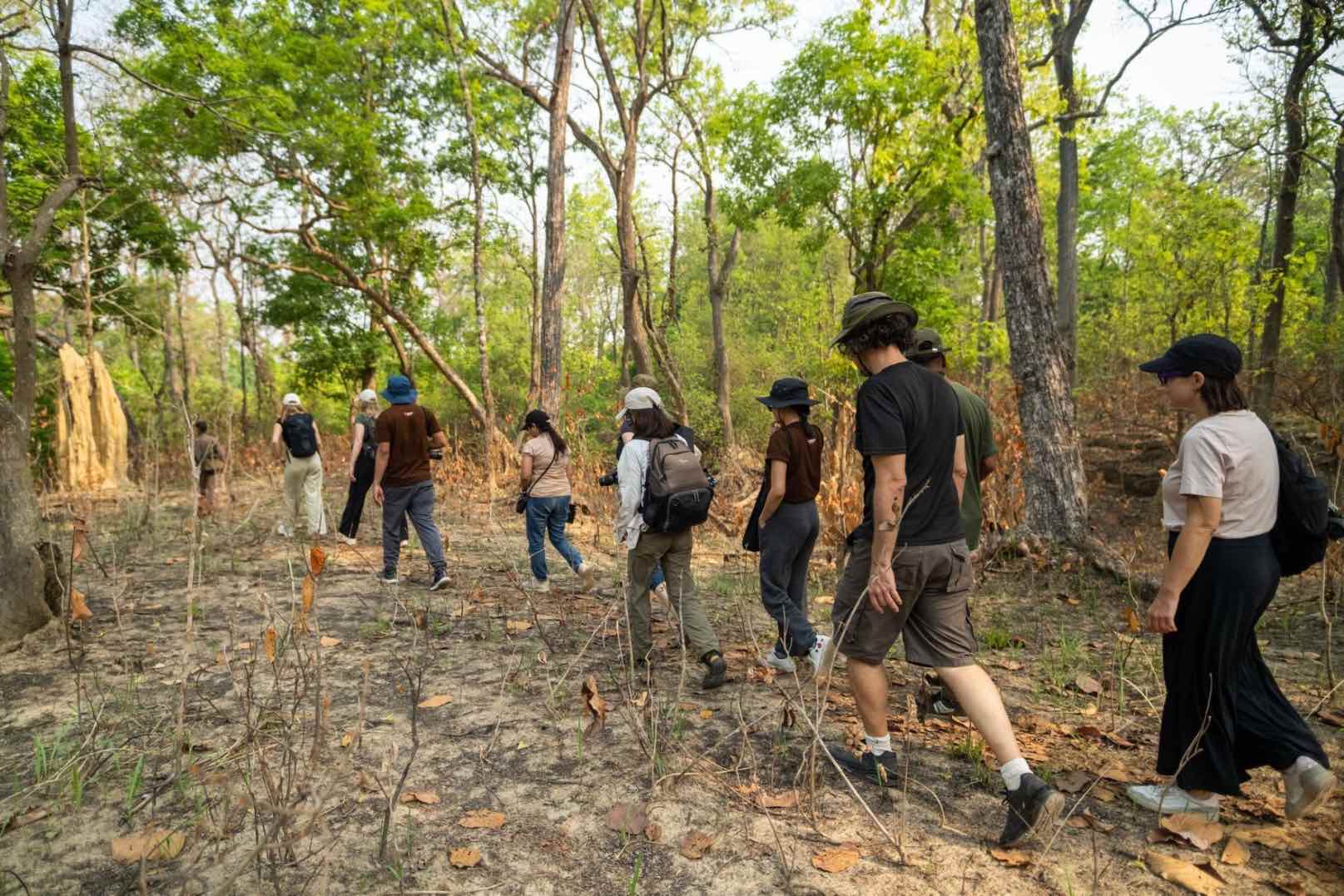 Jungle Walk Adventure